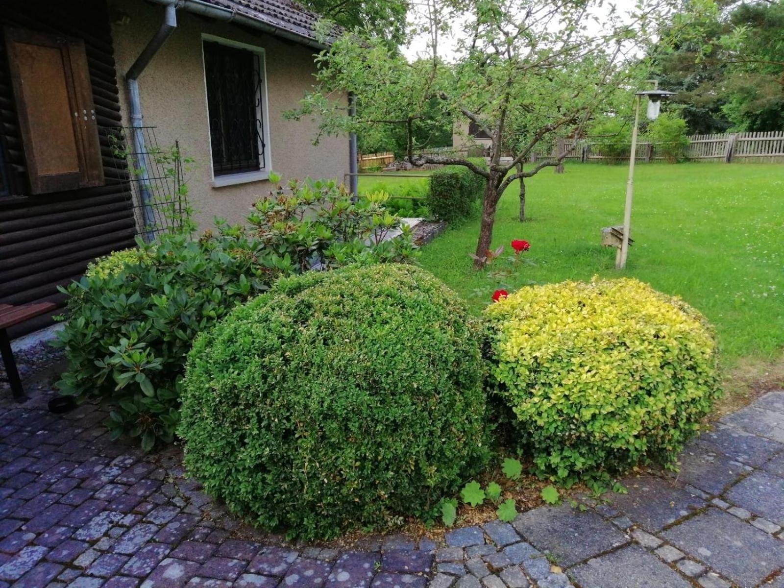 Hasenecke Villa Bad Salzungen Exterior foto